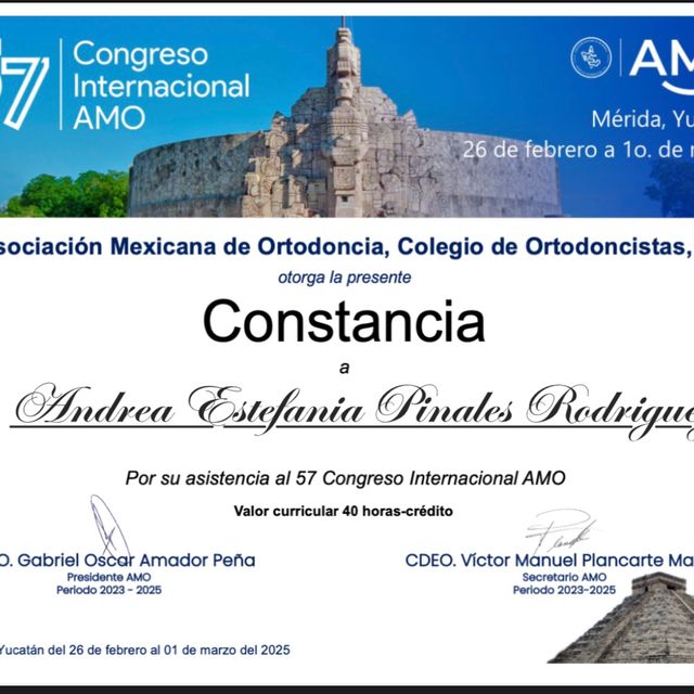 Ampliar imagen: certificate 2