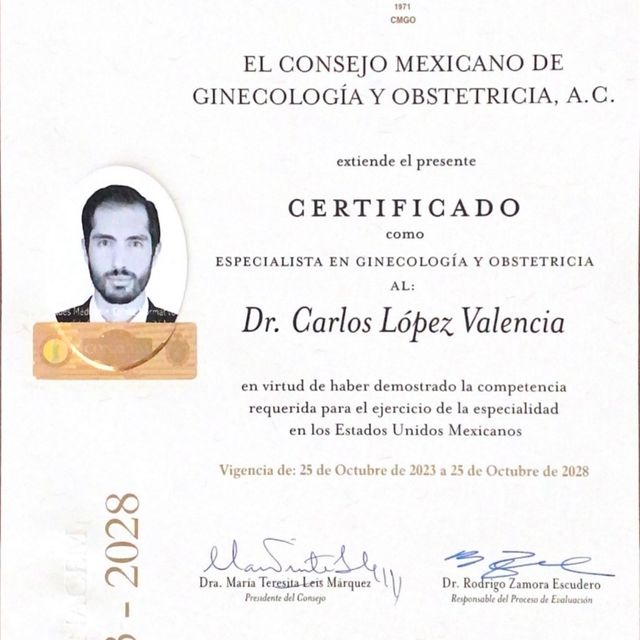 Ampliar imagen: certificate 1