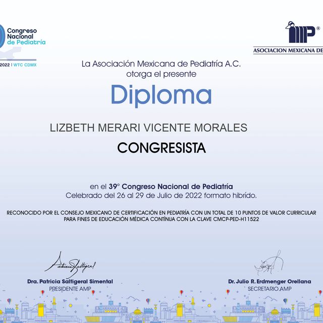 Ampliar imagen: certificate 4