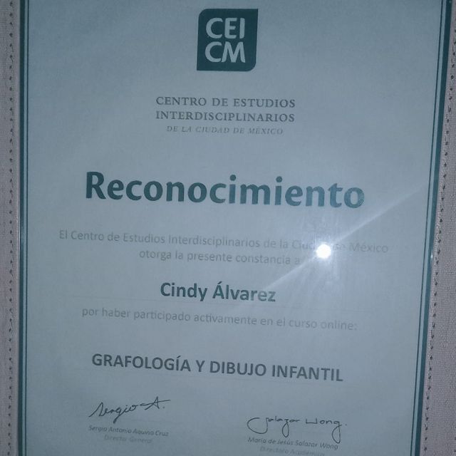 Ampliar imagen: certificate 7