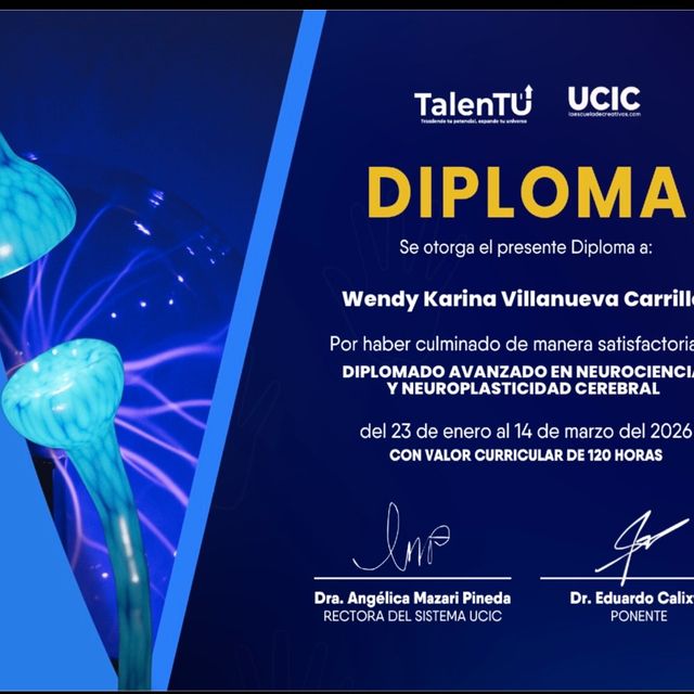 Ampliar imagen: certificate 24