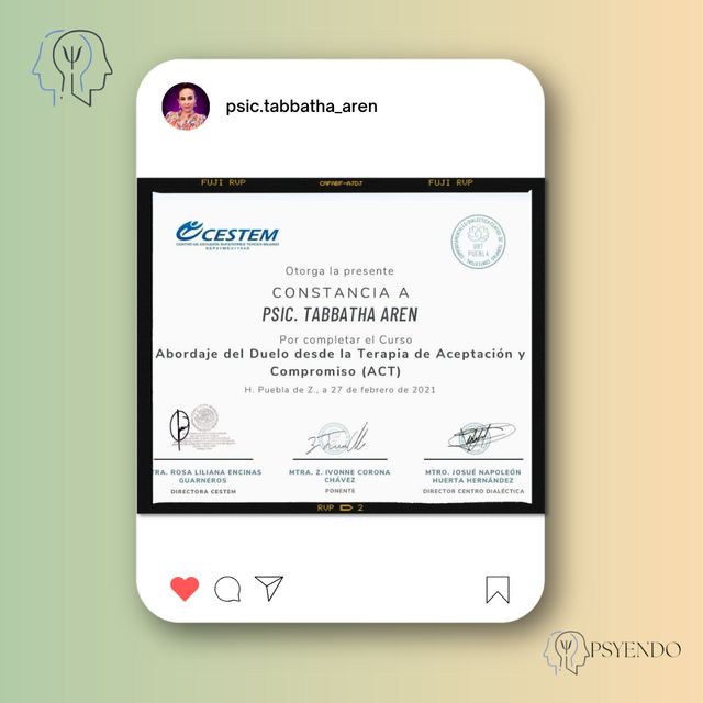 Ampliar imagen: certificate 3