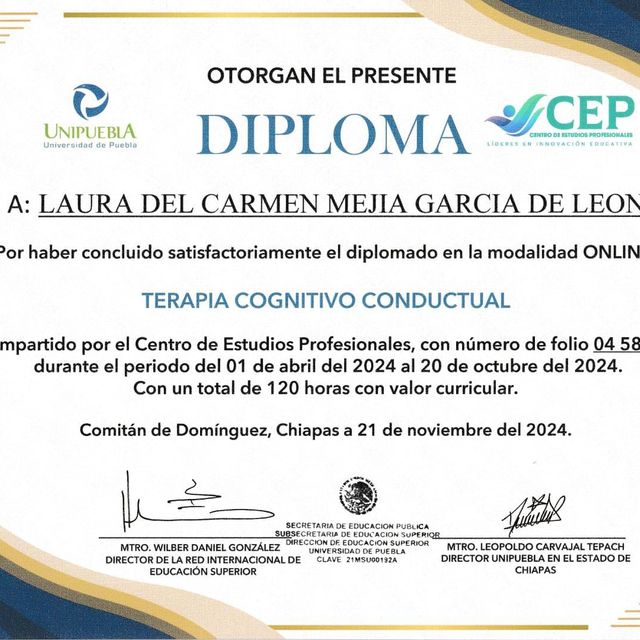 Ampliar imagen: certificate 8