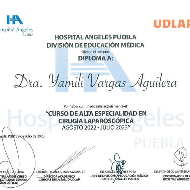Ampliar imagen: certificate 1