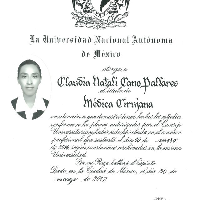 Ampliar imagen: certificate 2