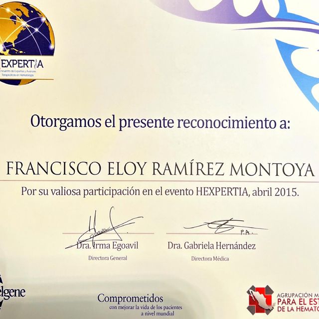 Ampliar imagen: certificate 24