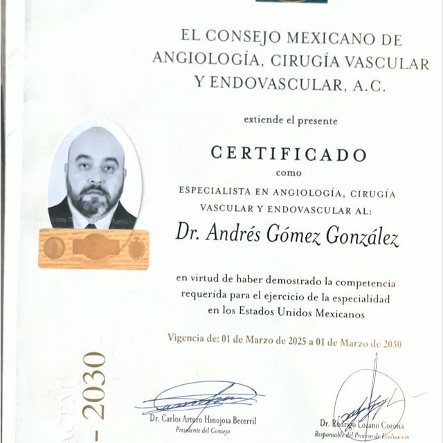 Ampliar imagen: certificate 8