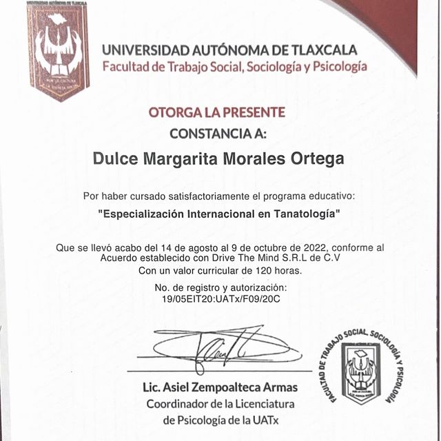 Ampliar imagen: certificate 3