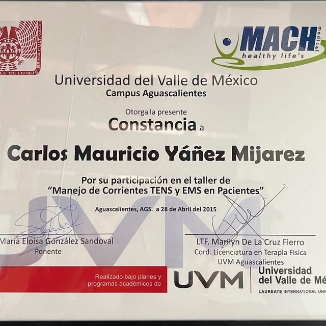 Ampliar imagen: certificate 12