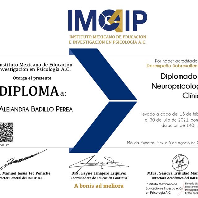 Ampliar imagen: certificate 6