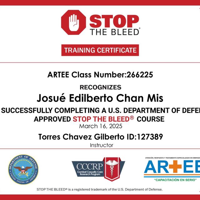 Ampliar imagen: certificate 4