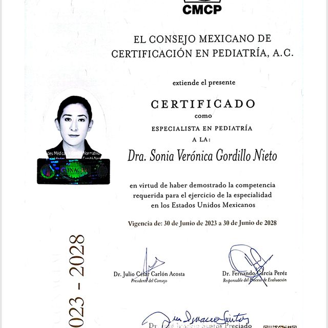 Ampliar imagen: certificate 13