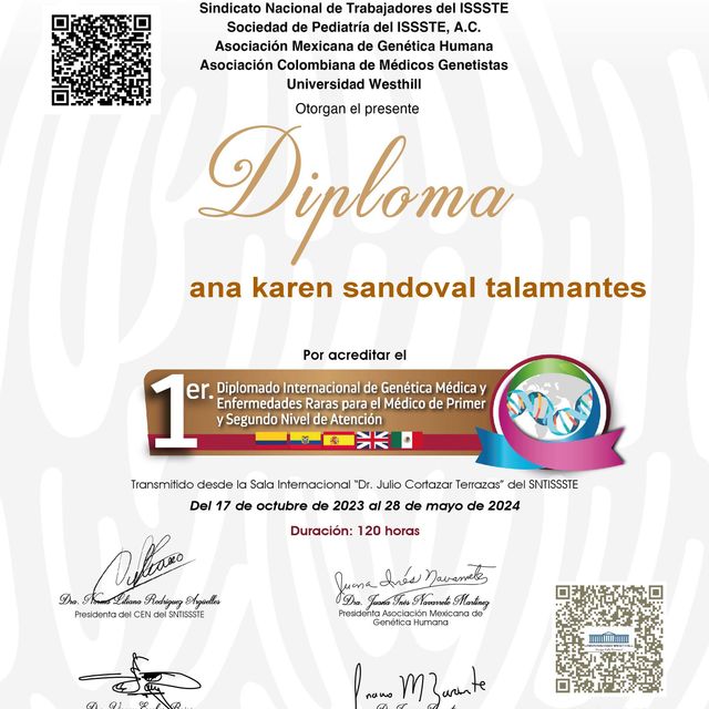 Ampliar imagen: certificate 16