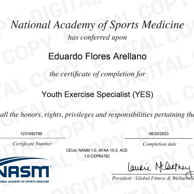 Ampliar imagen: certificate 1