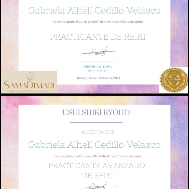 Ampliar imagen: certificate 7