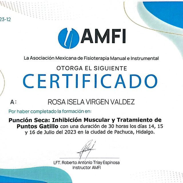 Ampliar imagen: certificate 14