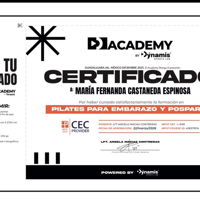 Ampliar imagen: certificate 6