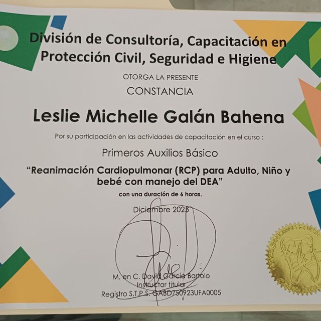 Ampliar imagen: certificate 2