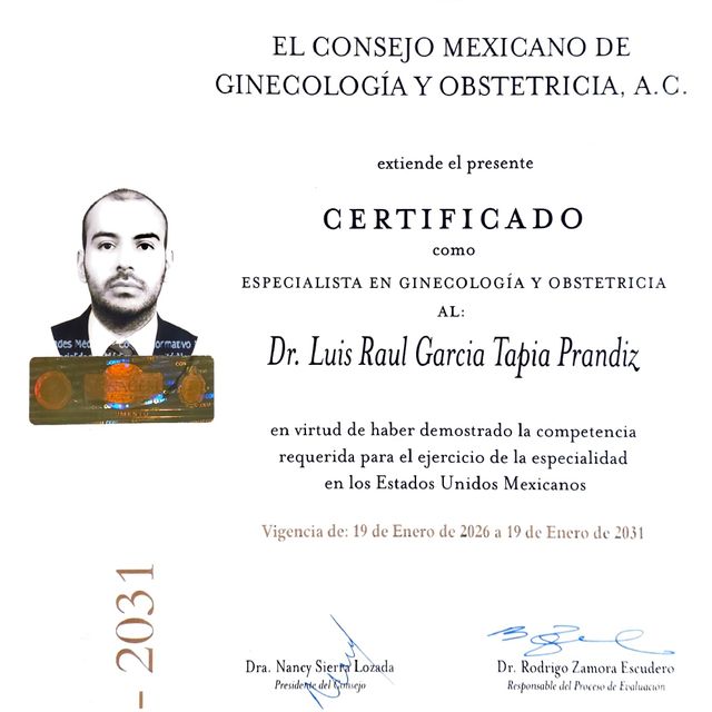 Ampliar imagen: certificate 4