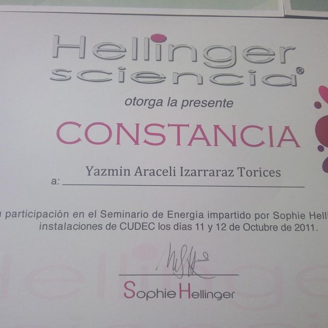 Ampliar imagen: certificate 7