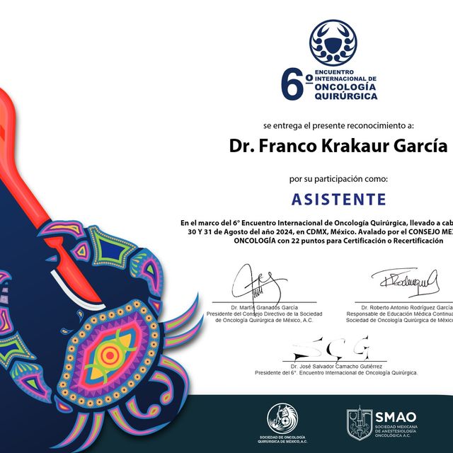 Ampliar imagen: certificate 5