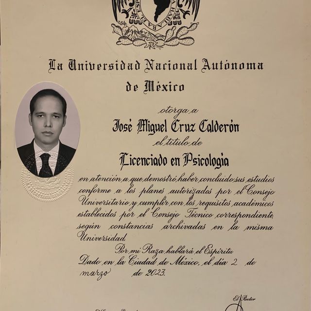 Ampliar imagen: certificate 1