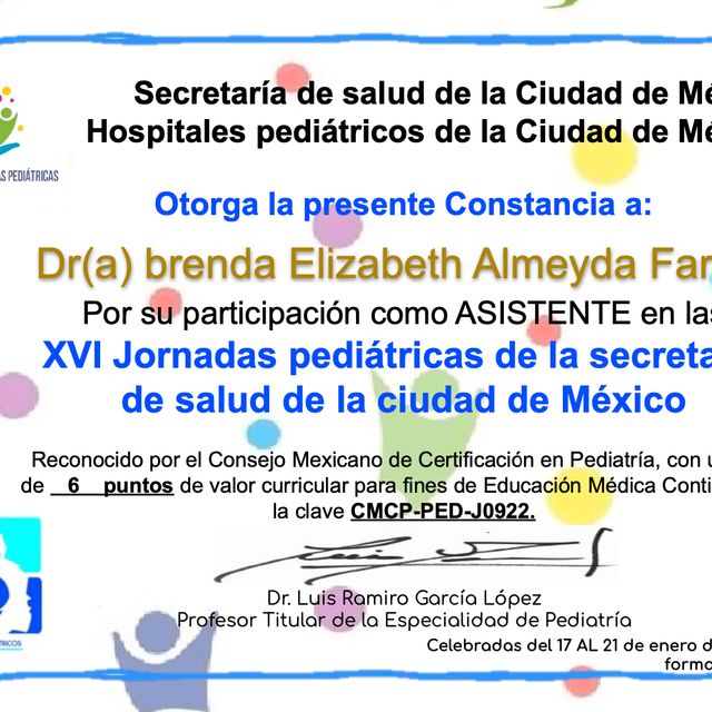 Ampliar imagen: certificate 23