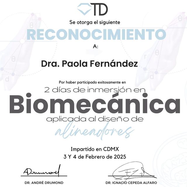 Ampliar imagen: certificate 24