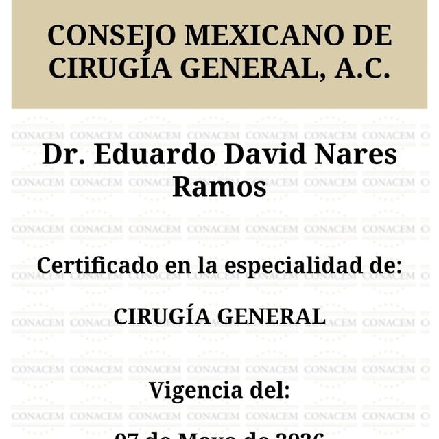 Ampliar imagen: certificate 1