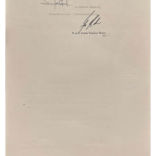 Ampliar imagen: certificate 10