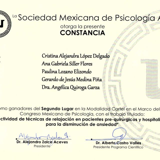 Ampliar imagen: certificate 5