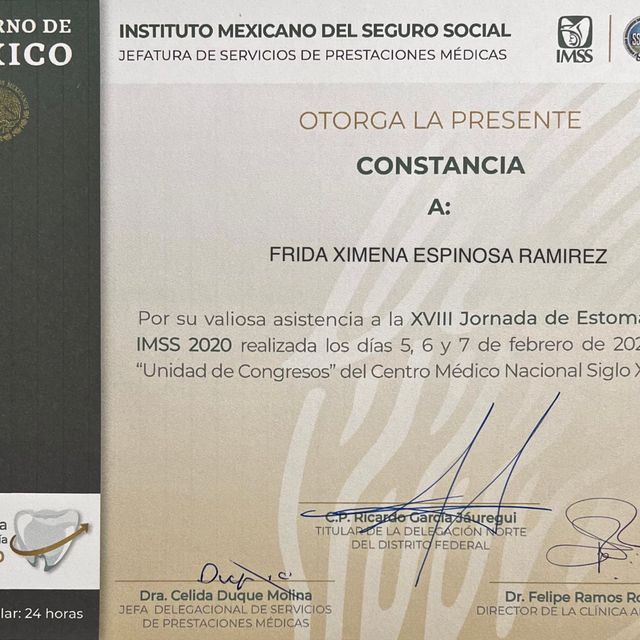 Ampliar imagen: certificate 5