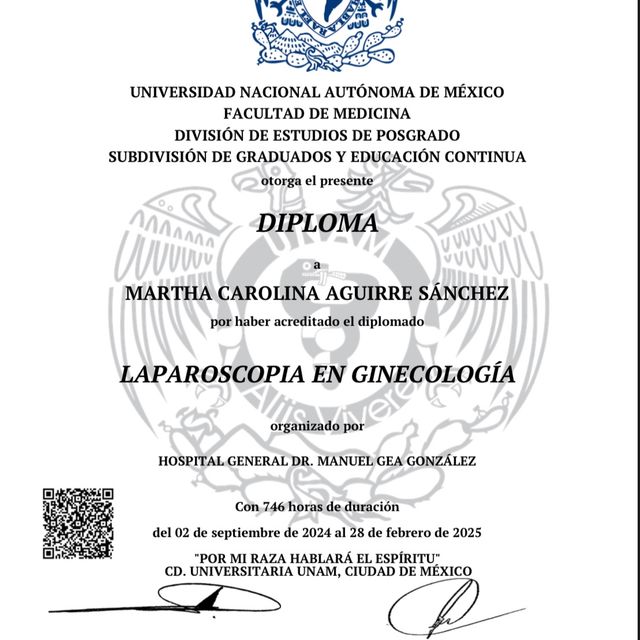 Ampliar imagen: certificate 5
