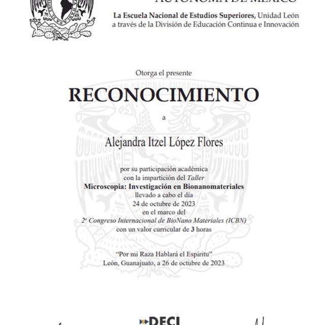 Ampliar imagen: certificate 4