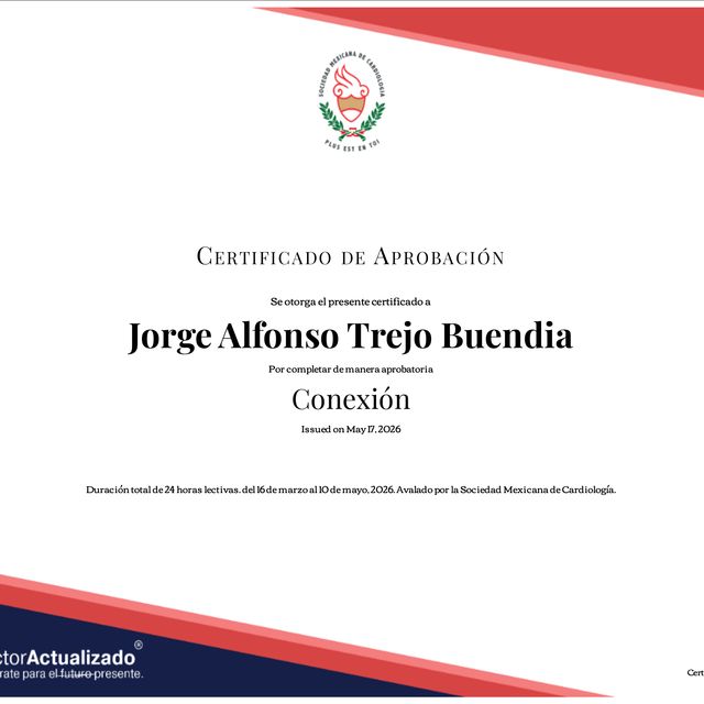 Ampliar imagen: certificate 3