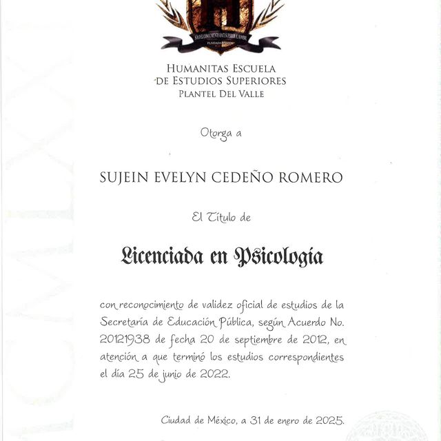 Ampliar imagen: certificate 1
