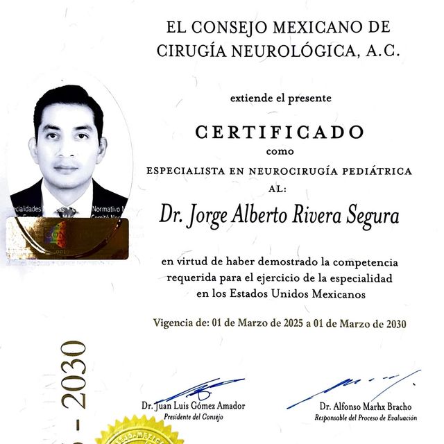 Ampliar imagen: certificate 4