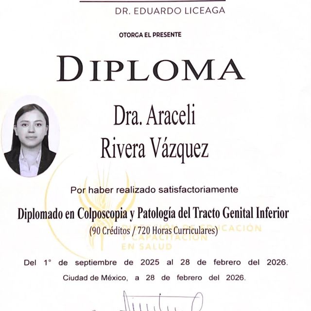 Ampliar imagen: certificate 3