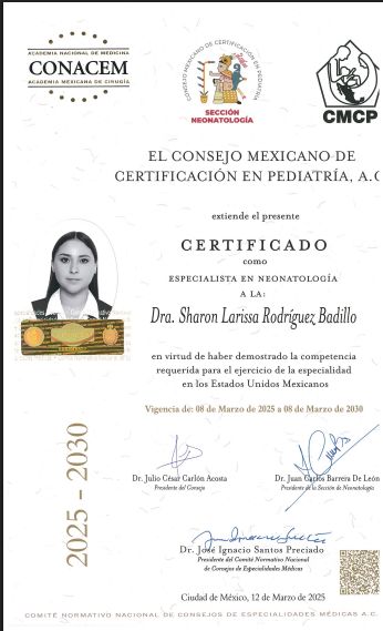 Ampliar imagen: certificate 1