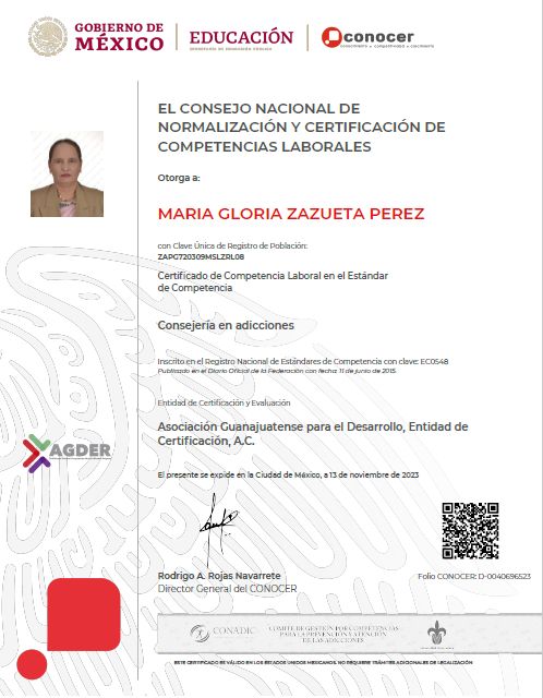 Ampliar imagen: certificate 5