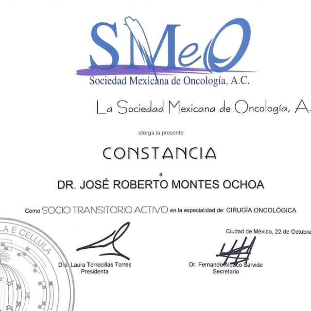 Ampliar imagen: certificate 9