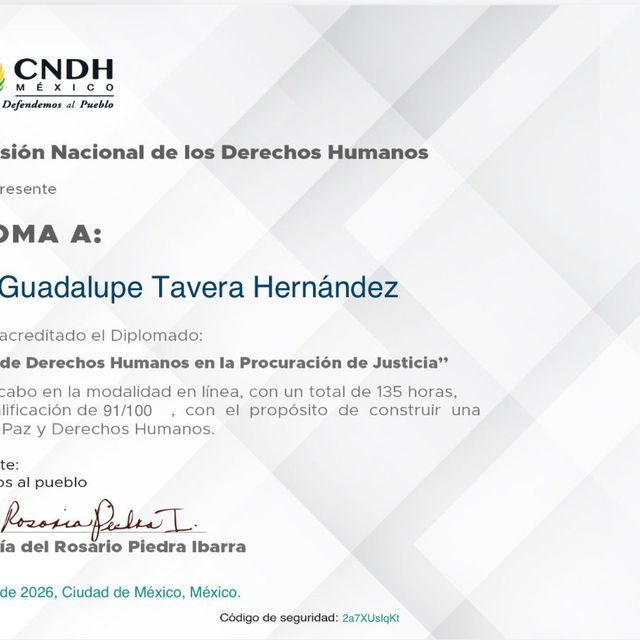 Ampliar imagen: certificate 88