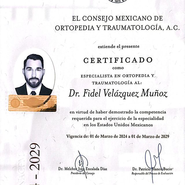 Ampliar imagen: certificate 1