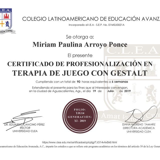 Ampliar imagen: certificate 3