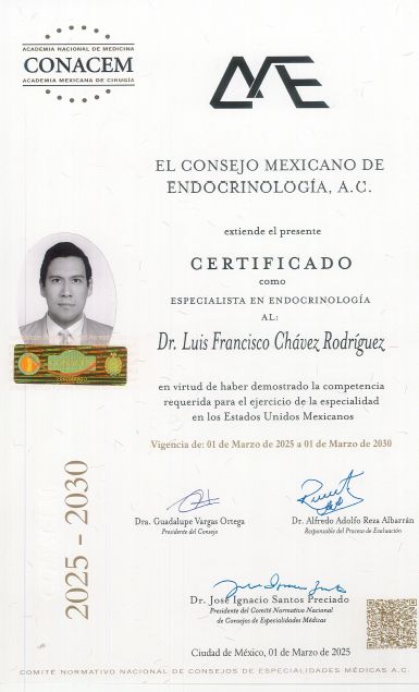Ampliar imagen: certificate 4