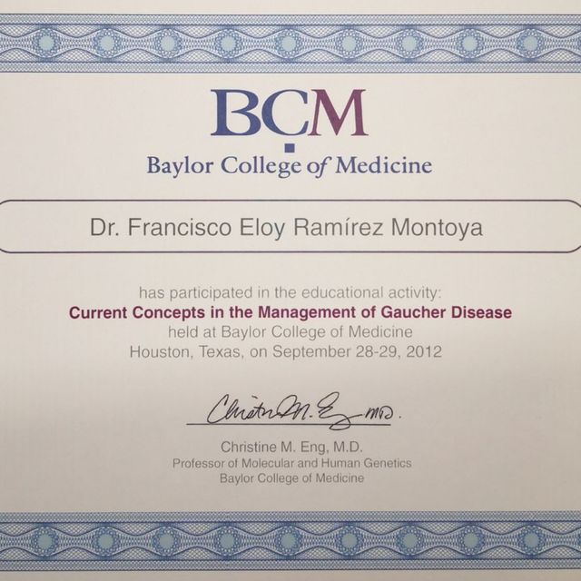 Ampliar imagen: certificate 8