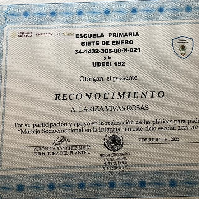 Ampliar imagen: certificate 14