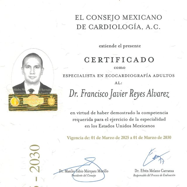 Ampliar imagen: certificate 4