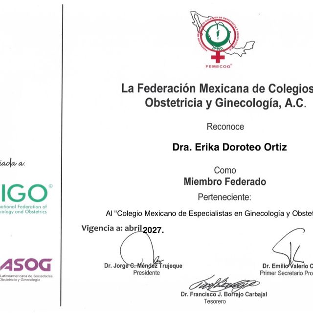 Ampliar imagen: certificate 4