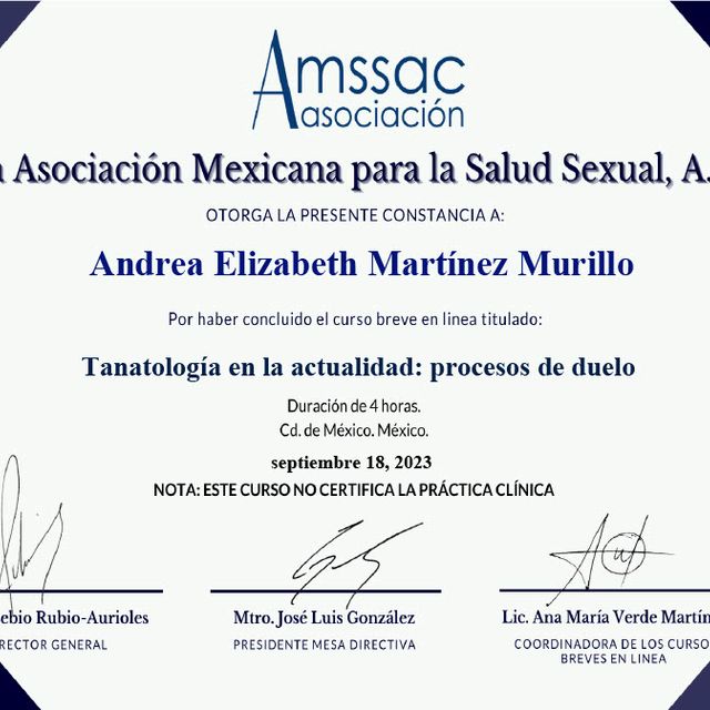 Ampliar imagen: certificate 10